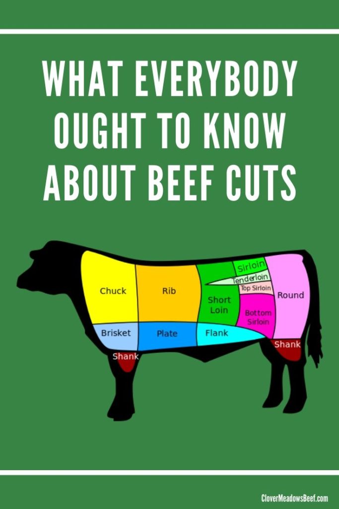 What everybody ought to know about beef cuts - Clover Meadows Beef Grass Fed Beef St Louis Missouri - STL
